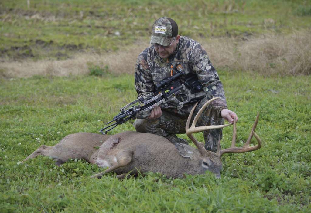 publishers-perspective