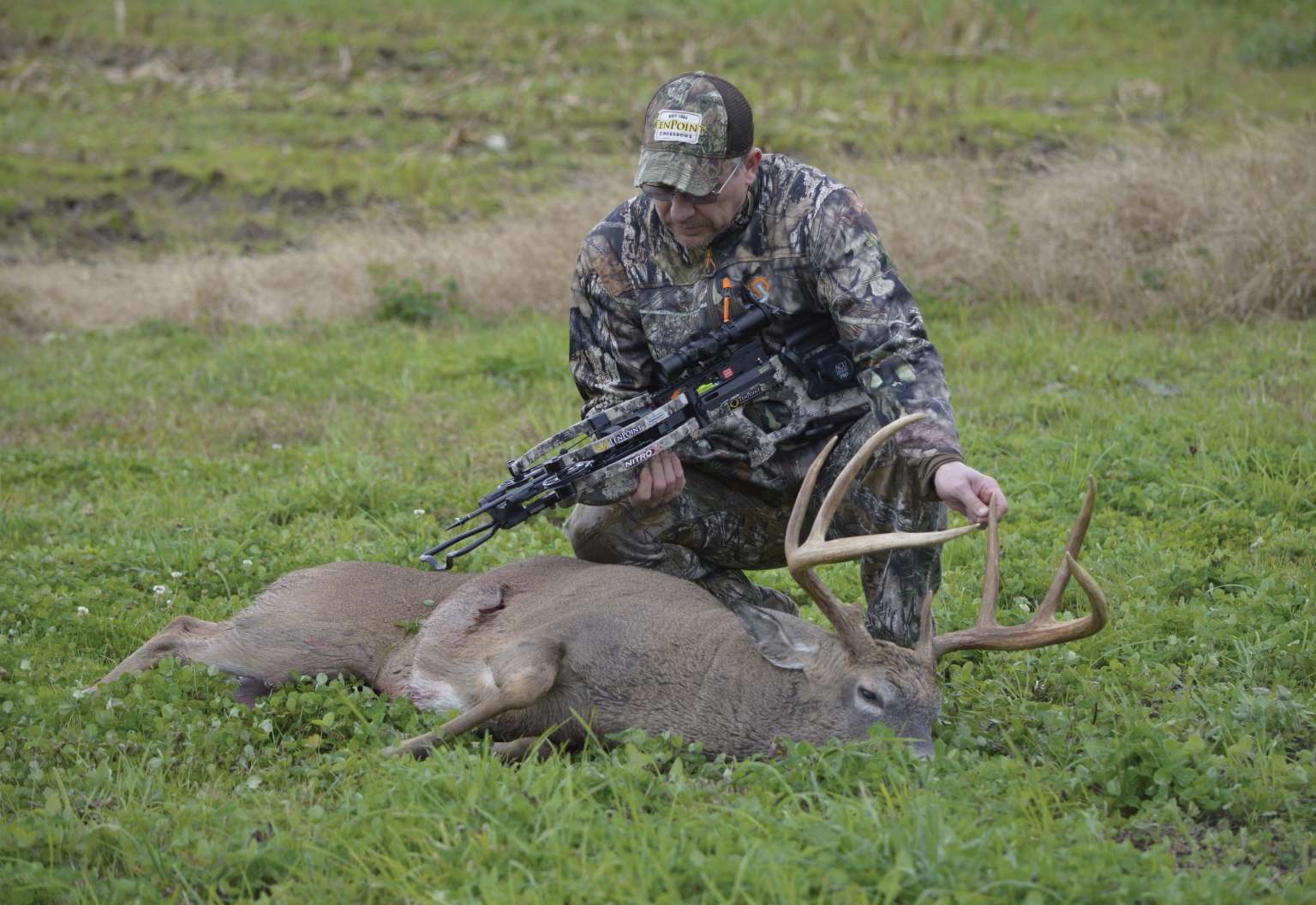 publishers-perspective