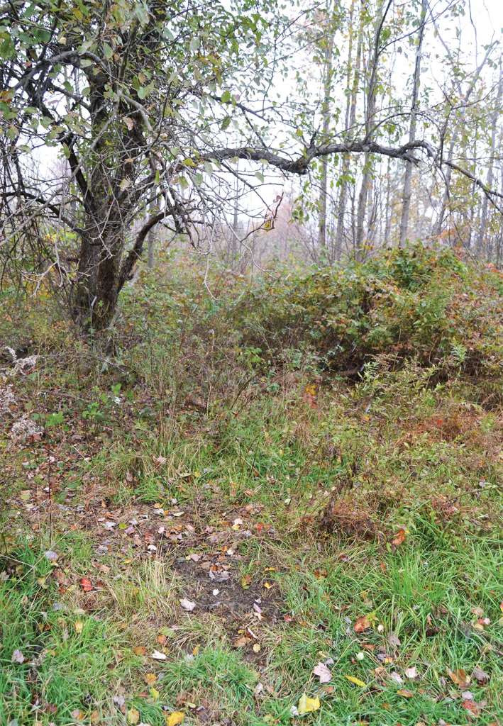 2022-fall-rubs-vs-scrapes-1 - Crossbow Magazine Rubs versus scrapes discussion, this is a scrape