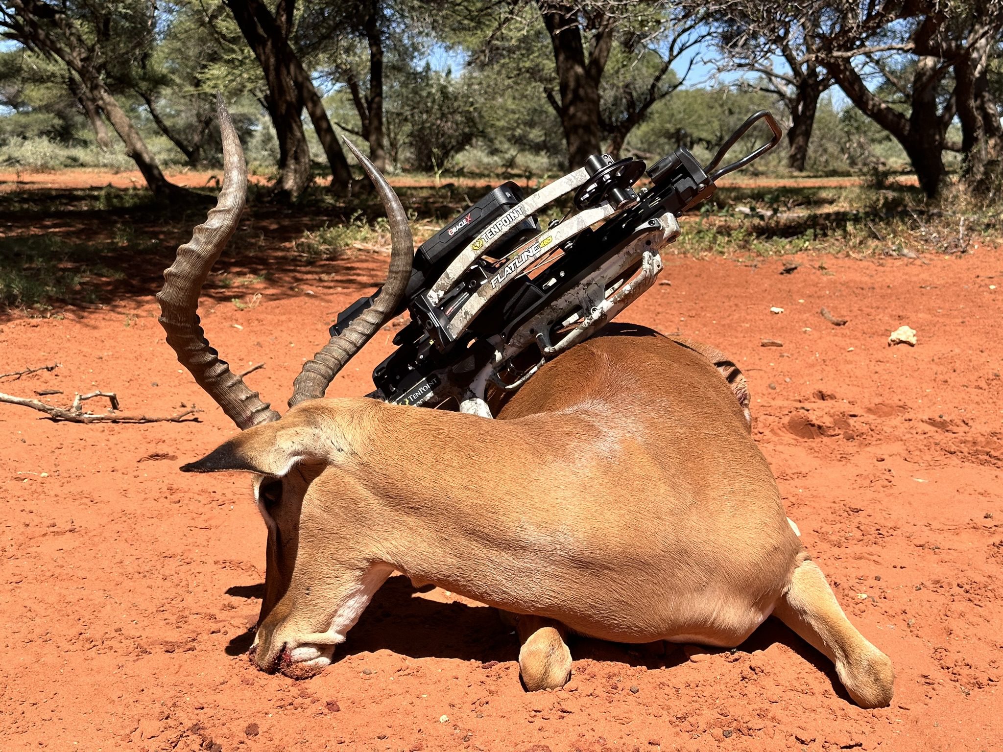 Tenpoint Flatline 460 with a Burris Oracle X scope