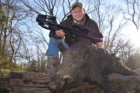 2023-08-wild-boar-5 - Crossbow Magazine boar