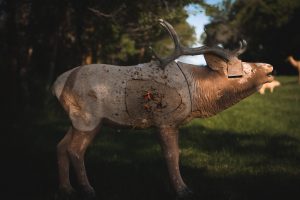 bull elk archery target