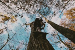 saddle hunting stand