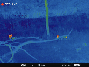 Coyote Hunting With Pulsar Telos