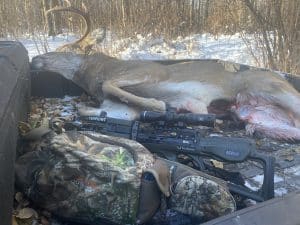 White tail deer and crossbow